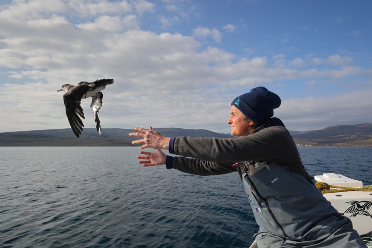 ΟΦΥΠΕΚΑ: Πέντε χρόνια δράσης για την προστασία των Μύχων της Μεσογείου