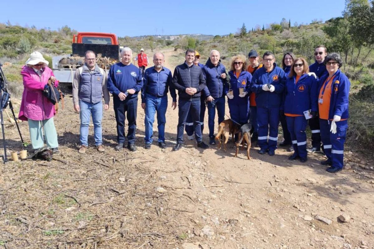 Μεγάλη εθελοντική δενδροφύτευση στον Κοκκιναρά από ΣΠΑΠ και Δήμο Κηφισιάς