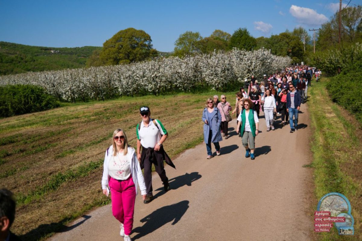 Πεζοπορία και ποδηλασία σε εκτάσεις με ανθισμένες κερασιές διοργάνωσε η Περιφερειακή Ενότητα Πέλλας