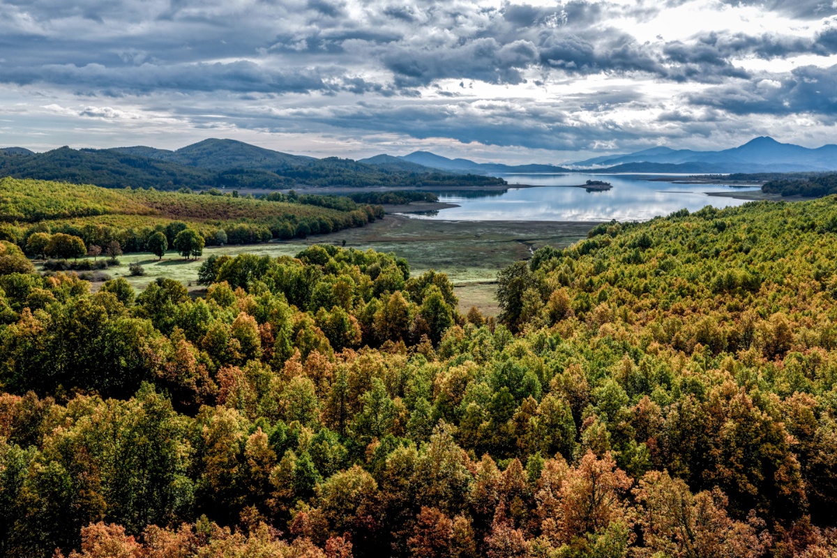 SAT4FOREST: Ελληνικοί μικροδορυφόροι για συνεχή παρακολούθηση των δασών
