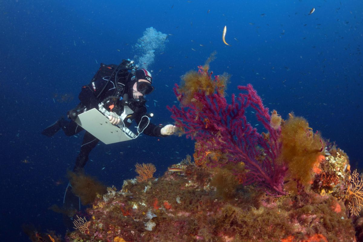 Η Ελλάδα στηρίζει το OceanEye της ΕΕ για την προστασία των θαλασσών