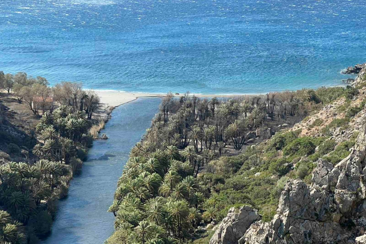 Πρέβελη: Περιορισμένες οι ζημιές στο Φοινικόδασος μετά την πυρκαγιά
