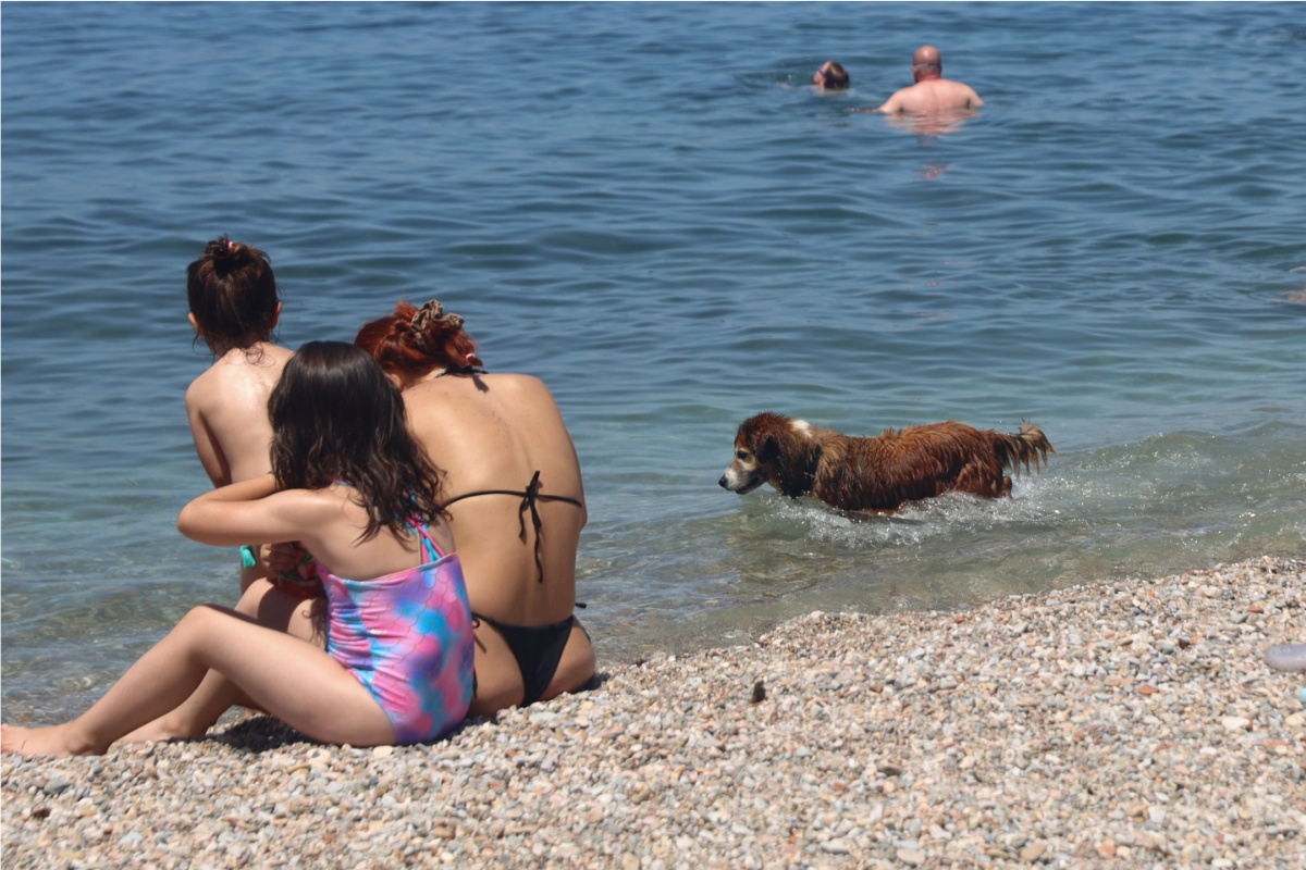 Ποιες παραλίες της Αττικής κρίθηκαν ακατάλληλες για κολύμβηση