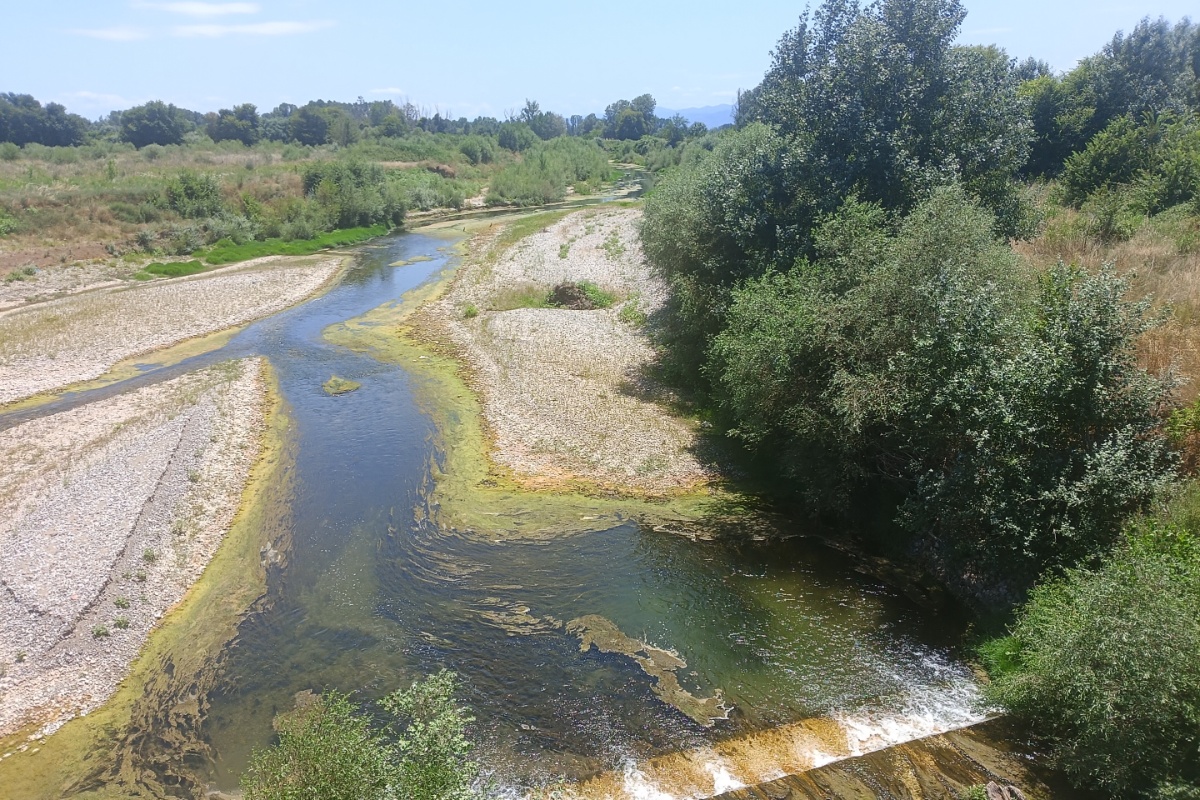 Πηνειός: Σε χαμηλά επίπεδα η ροή του ποταμού στον θεσσαλικό κάμπο