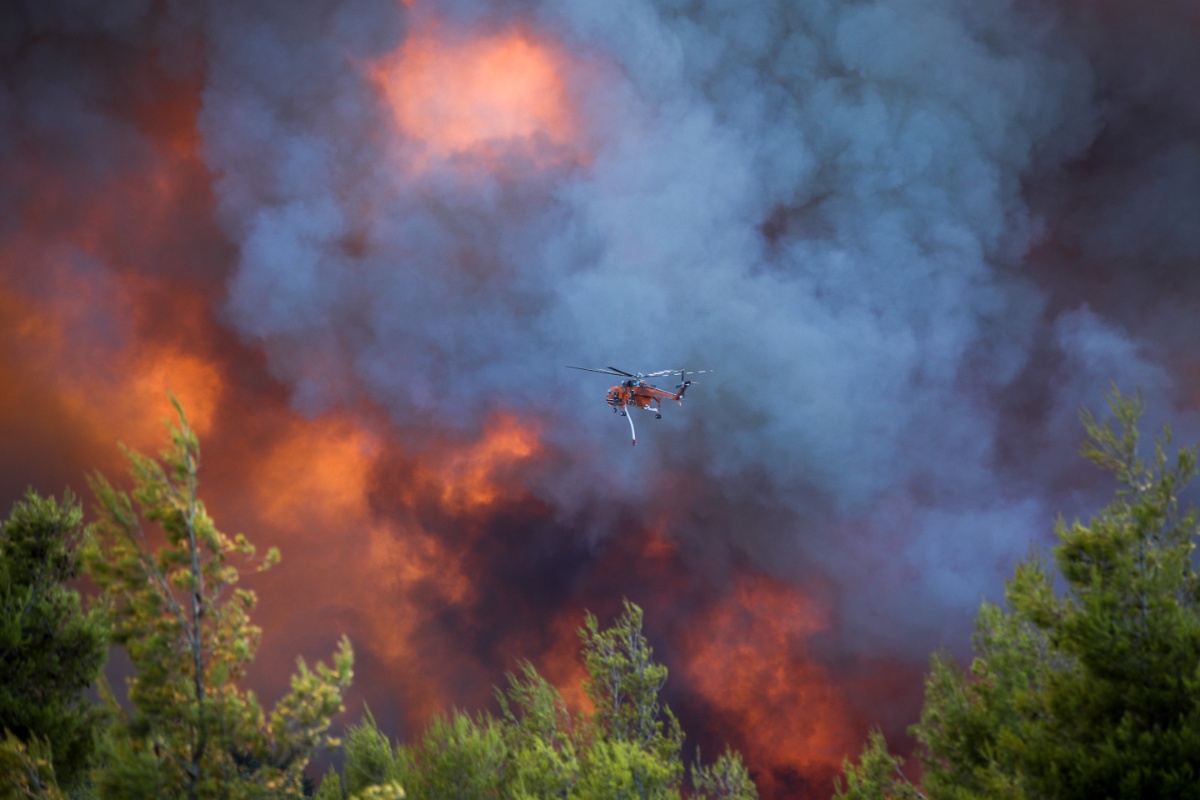 WWF: Πάνω από 180.000 στρέμματα έχουν καεί σε Κρήτη, Πάρο, Βοιωτία και δυτική Αττική